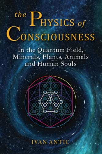 The Physics of Consciousness: In the Quantum Field, Minerals, Plants, Animals and Human Souls (Existence - Consciousness - Bliss, Band 1) von Independently published